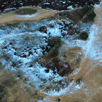 Sandheid mit Schnee im Veluwe Fotolizenz