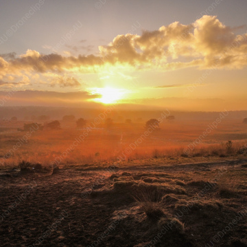 Sonnenuntergang im Veluwe Fotolizenz